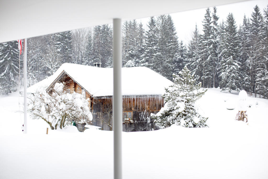 Chalet Bergoase Hasliberg Exteriér fotografie